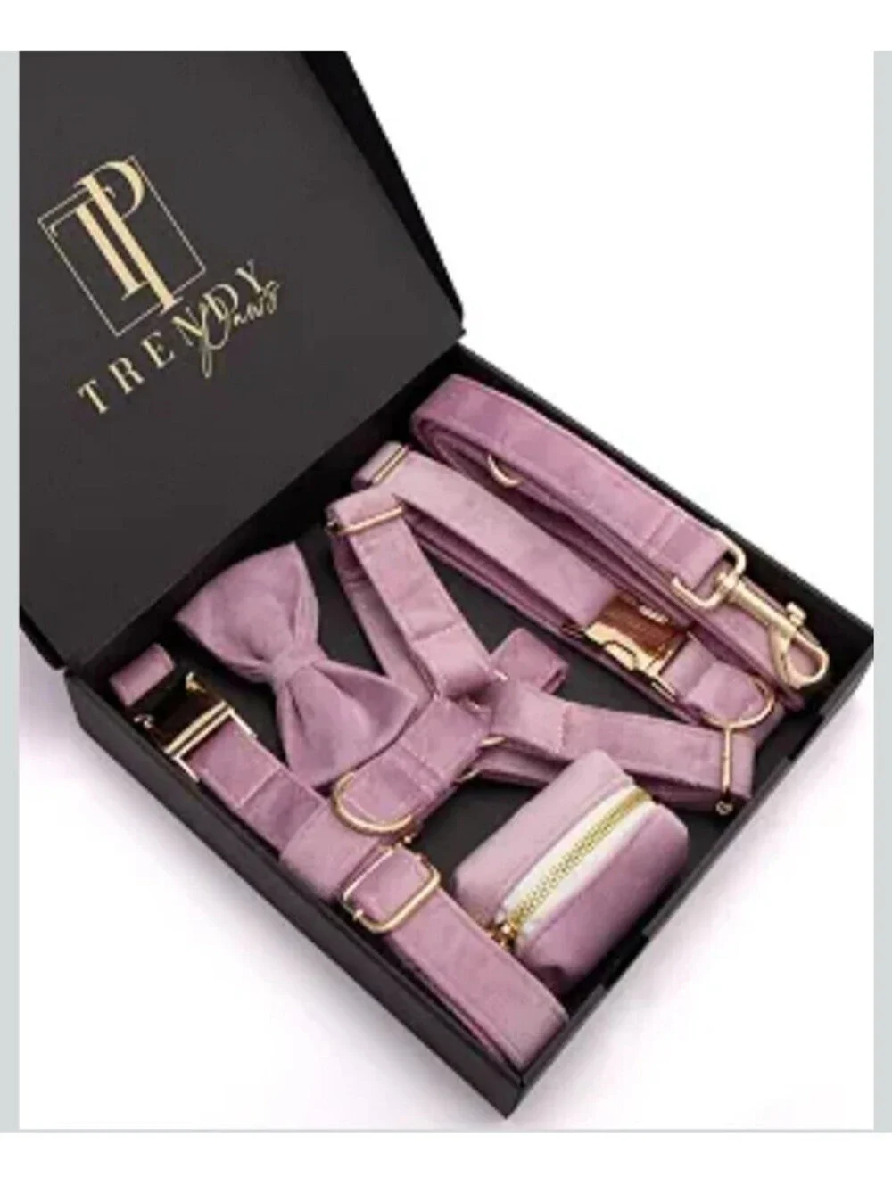 TRENDY PAWS PURPLE VELVET DOG HARNESS LEASH COLLAR BOWTIE BAG GIFT SET NEW XS